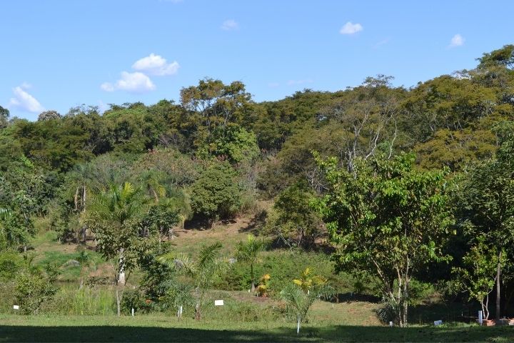 jardim botanico goiania